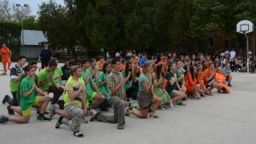 Gyíkavató a Vajdában