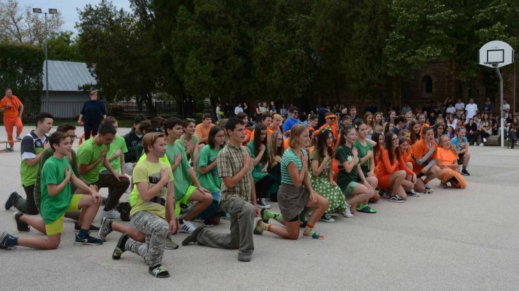 Gyíkavató a Vajdában