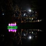 Sokkal látványosabb lett a vízi koszorú Békésszentandráson