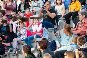 A hegybányai solymászok tartottak bemutatót a Szarvasi Vízi Színházban a Barátságunk pilléreit építjük projekt hetében.