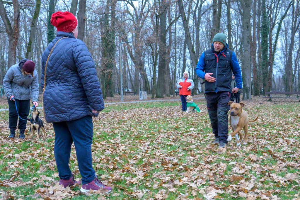 Slajchó Attila egy január közepi kutyás tréningen az Erzsébet-ligetben.