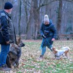 Felkészülés a sétára egy január közepi kutyás tréningen az Erzsébet-ligetben.