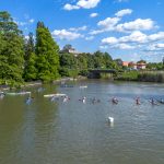 Gyönyörű időben zajlottak a Körös Kupa idei futamai.