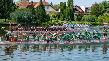 Harmadik alkalommal rendezte meg Szarvason a Sárkányhajó Fesztivált a Körös Dragon Szarvas SE 2025. augusztus 16-án.