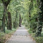 A kerékpárút Erzsébet-ligeti szakasza.