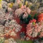 A Szarvasi Arborétum ősszel.