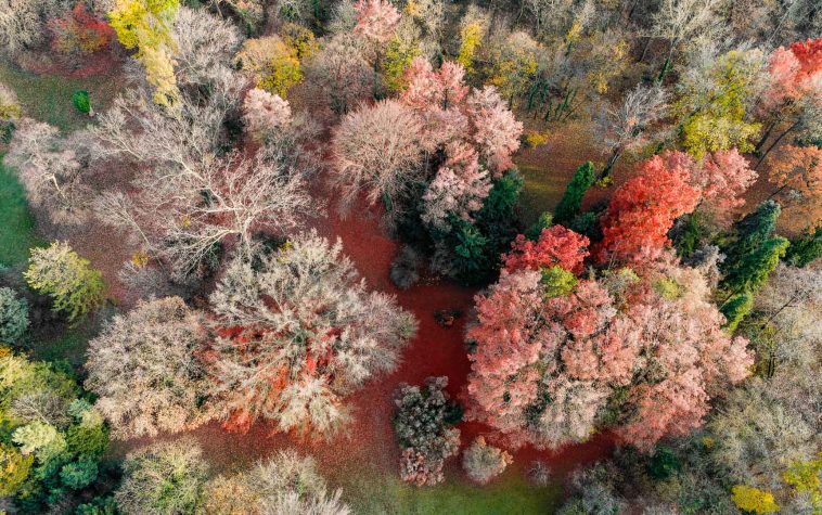 A Szarvasi Arborétum ősszel.