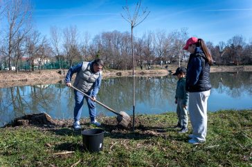 Fazekas Zoltán és családja a Kacsa-tónál ültetett el és fogadott örökbe egy díszcseresznyét.