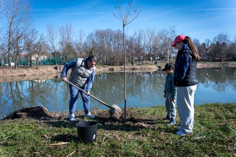 Fazekas Zoltán és családja a Kacsa-tónál ültetett el és fogadott örökbe egy díszcseresznyét.